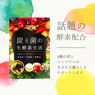 炭と菌の生酵素生活 生酵素 コンブチャ 4種の炭